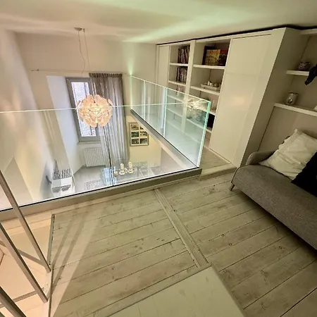 Stella Di Giotto Daire